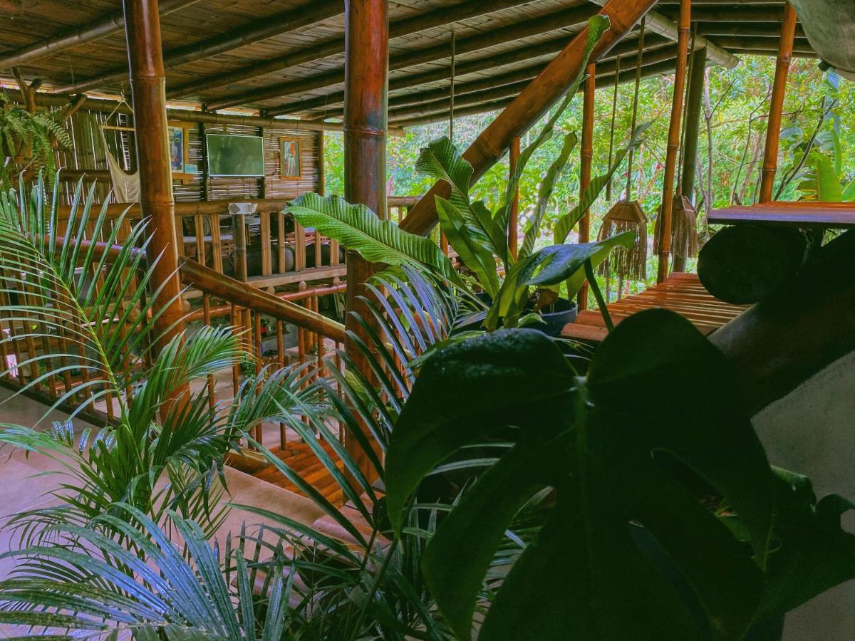 Cinnamon House Mindo Bagian luar foto