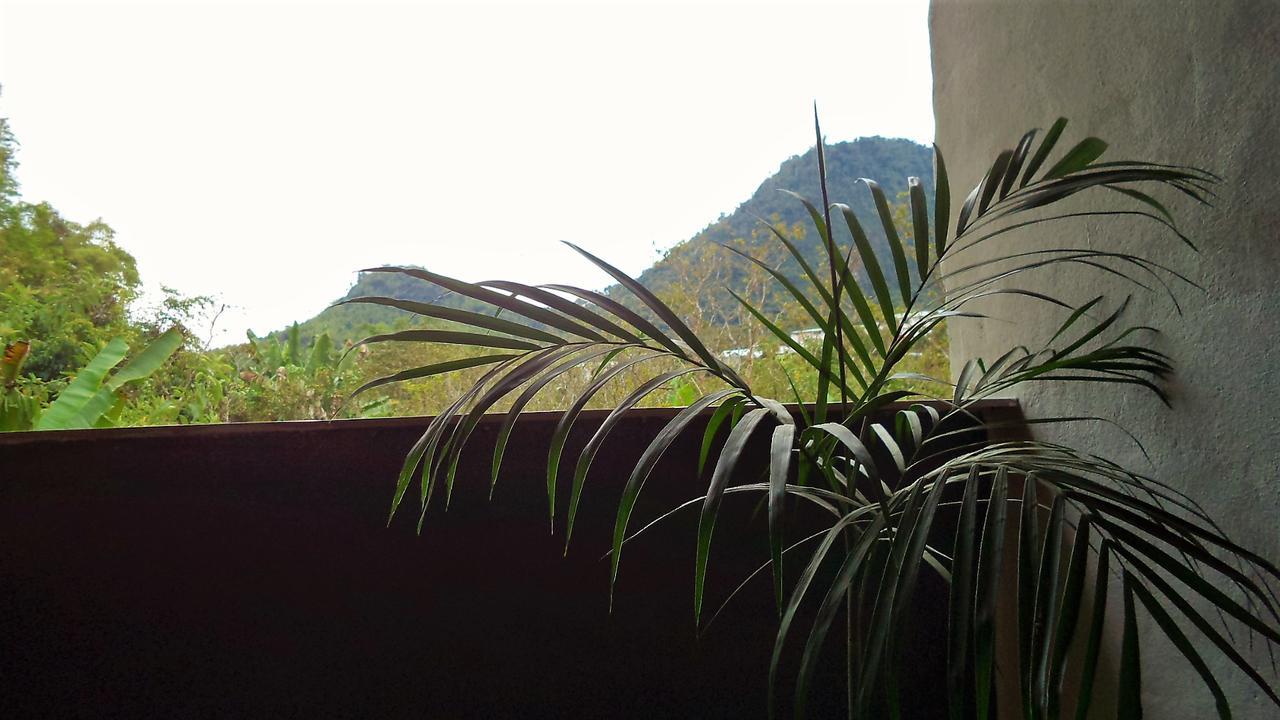 Cinnamon House Mindo Bagian luar foto