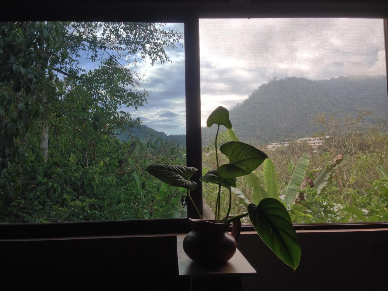 Cinnamon House Mindo Bagian luar foto