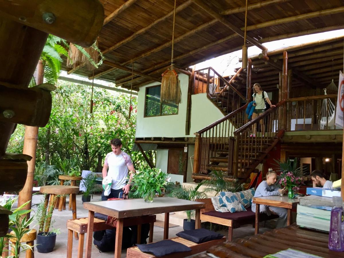 Cinnamon House Mindo Bagian luar foto